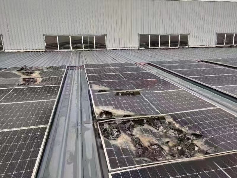 重磅提醒 ┃ 选装光伏，，，请坚决拒绝低价诱惑！切记。。。。。∧肟釉俦惶茁罚。。。。。。。。。。